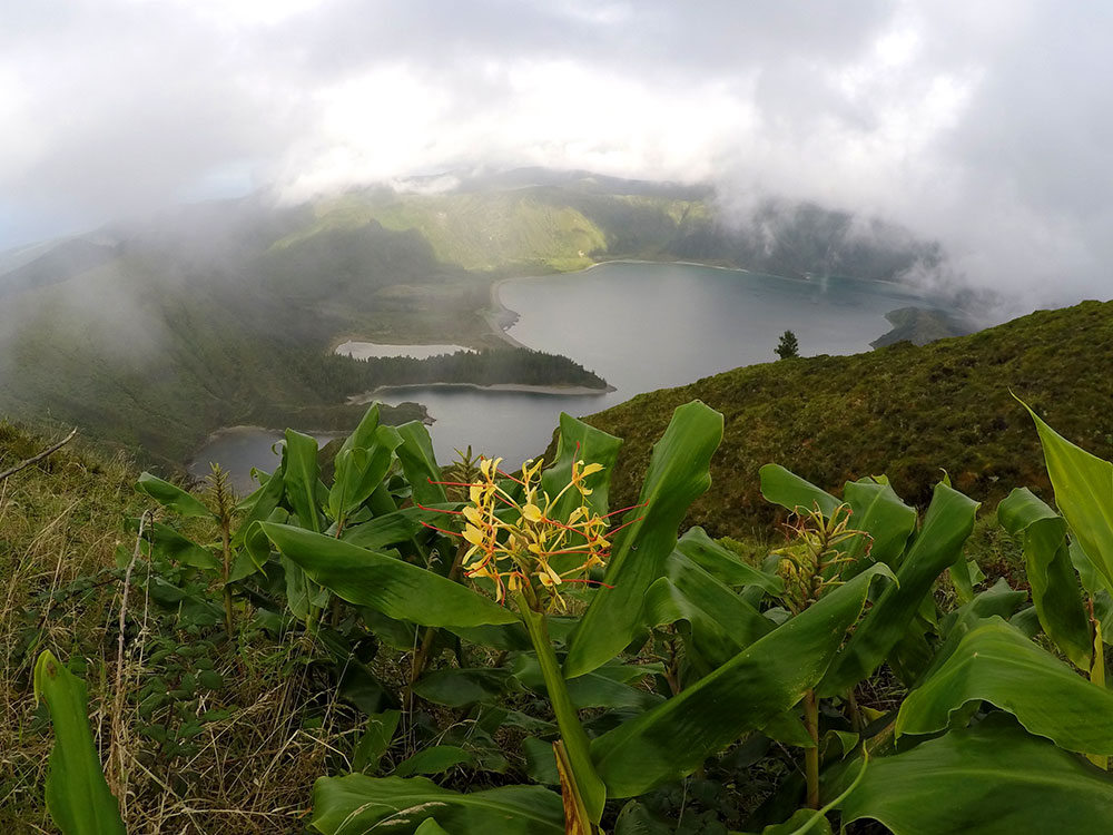 Azores Garoupa Stand Up Paddle Rental